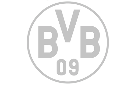 BVB